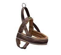 (TG. XXL) Hunter Racing Norweger Harness - Imbracatura Cane, Marrone, 82-105/L-X