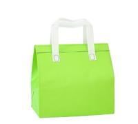 TGDGFKIAS Borsa termica per il pranzo, Borse termiche in tessuto non for alimenti, torte, bevande, pranzo, confezione da 10, multicolore, varie misure(Green2,26x21x11cm)