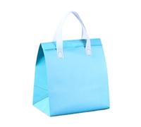 TGDGFKIAS Borsa termica per il pranzo, Confezione da 10 borse termiche for il pranzo, multicolore, varie misure(Light Blue,32x30x20cm)