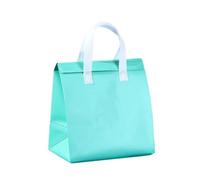 TGDGFKIAS Borsa termica per il pranzo, Confezione da 10 borse termiche for il pranzo, multicolore, varie misure(Green,32x30x20cm)
