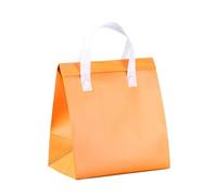 TGDGFKIAS Borsa termica per il pranzo, Confezione da 10 borse termiche for il pranzo, multicolore, varie misure(Oranje,26x24x15cm)