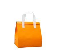 TGDGFKIAS Borsa termica per il pranzo, Confezione da 20 sacchetti for alimenti in alluminio autoadesivo, multicolore, varie misure(Oranje,24XH26X15cm)