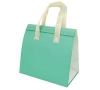 TGDGFKIAS Borsa termica per il pranzo, Confezione da 25 borse porta pranzo multicolore, diverse misure(Green and White,28x12x10cm)