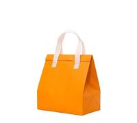 TGDGFKIAS Borsa termica per il pranzo, Confezione da 25 sacchetti for alimenti isolati multicolore, diverse misure(Oranje,32x30x20cm)