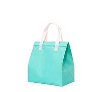 TGDGFKIAS Borsa termica per il pranzo, Confezione da 25 sacchetti for alimenti isolati multicolore, diverse misure(Green,28x26x17cm)