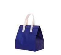 TGDGFKIAS Borsa termica per il pranzo, Confezione da 25 sacchetti for alimenti isolati multicolore, diverse misure(Blue,27x21x11cm)