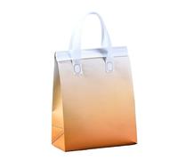 TGDGFKIAS Borsa termica per il pranzo, Confezione da 25 sacchetti for alimenti isolati multicolore, diverse misure(Orange and White,28x26x17cm)