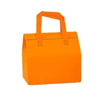 TGDGFKIAS Borsa termica per il pranzo, Confezione da 5 sacchetti for alimenti isolati multicolore, diverse misure(Oranje,26x26x17cm)