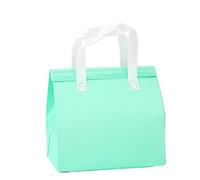 TGDGFKIAS Borsa termica per il pranzo, Confezione da 5 sacchetti for alimenti isolati multicolore, diverse misure(Green,24x24x15cm)