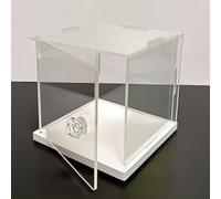 TGDGFKIAS mostra acrilico, Contenitori for esposizione in acrilico, personalizzabili in diverse dimensioni(15 x 15 x 45 cm (6 x 6 x 18 in))