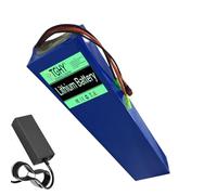 TGHY Batteria agli ioni di Litio per Bici elettrica 36V 6Ah 8Ah 10Ah 12Ah 15Ah 18Ah 20Ah 25Ah 30Ah Batteria al Litio per Motore Triciclo 0-1100W con caricabatteria,36v10ah