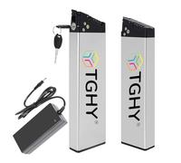 TGHY Batteria al Litio Integrata per Bici elettrica Pieghevole 36V 10,4Ah 12Ah 13,6Ah Batteria Nascosta Interna 48V 7,8Ah 9Ah 10,2Ah con Caricabatterie per Motore 0-500W,36v10.4ah