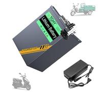 TGHY Batteria al Litio LiFePO4 72V 15Ah 20Ah 30Ah 45Ah 60Ah 65Ah 90Ah 100Ah 105Ah Batteria per ciclomotore e Moto con caricabatteria per Motore da Golf Cart da 0-7600 W,72v105ah