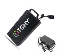 TGHY Batteria al Litio per Bici elettrica 48V 12Ah 15.6Ah 20Ah Batteria per Pneumatici Fat 60V 10Ah 12Ah 15.6Ah 20Ah 23Ah con Caricabatterie per Motore 0-1400W,48v12ah