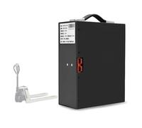 TGHY Batteria Carrello elevatore Elettrico Batteria al Litio 48V 10,4Ah 15,6Ah 18Ah Batteria per carico e Scarico del Camion Batteria per Camion per logistica di Magazzino 48 Volt,48v10.4ah