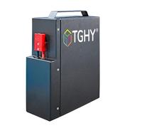 TGHY Batteria per transpallet Elettrico da 24 Volt, Batteria al Litio Ricaricabile da 24 V e 20 Ah per Motore per Carrello di carico e Scarico da 0 a 500 W