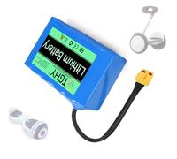 TGHY Batteria Ricaricabile agli ioni di Litio 10S1P da 2000 mAh e 36 V, Batteria Portatile per Hoverboard da 36 Volt per Motore da 72 W per Auto bilanciata