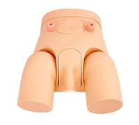TGPSMDXKV Modello di Cateterizzazione Maschile e Femminile Intercambiabile - Simulator Kit per la Pratica Infermieristica di Cateterismo Urinario per Studenti e Infermieri