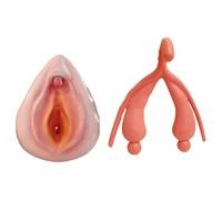 TGPSMDXKV Modello Femminile di manichino ginecologico, 2 Pezzi Modello Combinato Vulva/clitoride per l'insegnamento dell'anatomia del Sistema riproduttivo