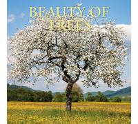 TGSC - Calendario 2026 2026, 16 mesi (settembre 2025-dicembre 2026), calendario da parete quadrato per la famiglia 2026, con grande griglia per l'organizzazione della casa o dell'ufficio, calendario