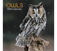 TGSC Calendario 2026 con gufi, 16 mesi (settembre 2025-dicembre 2026), calendario da parete quadrato per la famiglia del Regno Unito, con grande griglia per l'organizzazione della casa o dell'ufficio