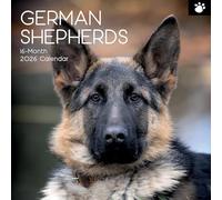 TGSC Calendario 2026 con pastori tedeschi, 16 mesi (settembre 2025-dicembre 2026), da parete quadrata 2026, con grande griglia per l'organizzazione della casa o dell'ufficio, cani 2026/2025 UK