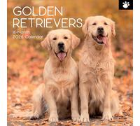 TGSC Calendario 2026 Golden Retrievers da 16 mesi (settembre 2025-dicembre 2026), calendario da parete quadrato per la famiglia del 2026, con grande griglia per l'organizzazione della casa o