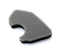 TGVSELPJ Parti di Moto Spugna Filtro Aria Scooter per Honda Dio AF18 per Tact AF24 50cc 17205-GWO-000 17205GAM690 Accessori Moto