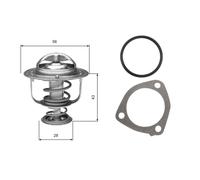 TH31276G1 Termostato, refrigerante Gates