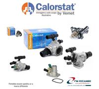 TH6884.87J CALORSTAT BY VERNET TERMOSTATO