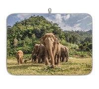 Thailandia Elefante Microfibra Piatto Scolapiatti Elefante Assorbente Scolapiatti Stuoia per Cucina Cucchiaio Piatto di Vetro 45,7 x 60,9 cm