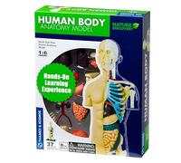 Thames & Kosmos , 260830, Human Body Anatomy Model, 37 Parts with Stand And Guide Book, Build Your Own Human Body, Nature Discovery Range, Ages 8+