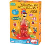 Thames & Kosmos, kit per il corpo umano Wow in The World, modello interattivo di anatomia meccanica con pompaggio di cuore, polmoni, tratto digestivo, ossa fosforescenti, cervello e altro, scienza per