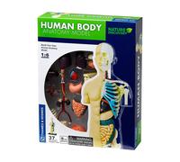 Thames & Kosmos - Nature Discovery: Human Body Model - 3D Anatomy Kit - 37 Parts