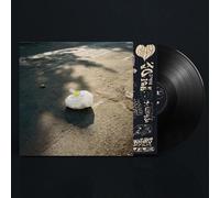 Thank You Have a Nice Day (DVD) Raedy
