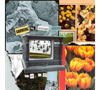 Thank You, I'm Sorry Growing in Strange Places (Vinyl LP)