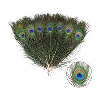 THARAHT 12pcs Peacock Feather Natural in Bulk 10-12 Pollici 25-30cm Small EyeFor Craft Vase Wedding Home Party Christmas Day Decoration Peacock Feathers