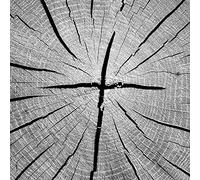 That's Why - That's Why