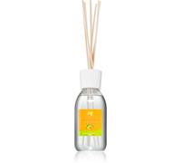 THD Unico Mandarin & Lime diffusore di aromi con ricarica 200 ml