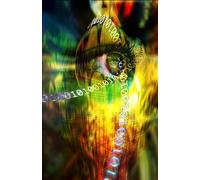 The 12 Colours: And the Girl they Changed