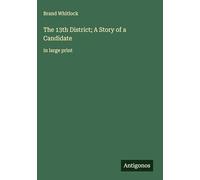 The 13th District; A Story of a Candidate: in large print