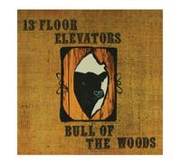 13th Floor Elevators - Bull Of The Woods