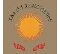The 13th Floor Elevators Easter Everywhere (Half Speed Remaster) (Vinyl LP)