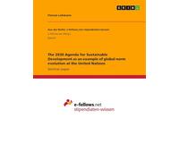 The 2030 Agenda for Sustainable Development as an example of global norm evolution at the United Nations