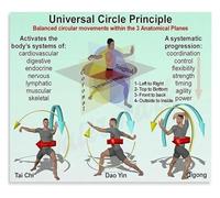 The 3 Anatomical Planes Poster Circular Movement Principles Educational Wall Art Chart for Personal Trainers and Students(Unframed,12x18inch(30x45cm))