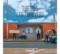the 395 to forever ('day bus' vinyl) (indie exclusive)