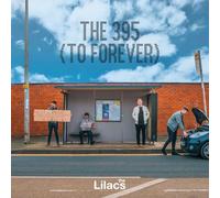 the 395 to forever ('day bus' vinyl) (indie exclusive)