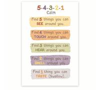 The 5-4-3-2-1 Rule for Coping Poster - Grounding Technique for Emotional Regulation, Educational Print for School, Dorm, Calm Corner(Framed,16x24inch(40x60cm))
