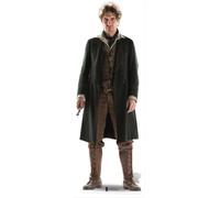 The 8th Doctor (Paul Mcgann) Grandezza Naturale Cartone Ritaglio Dr Who 50th