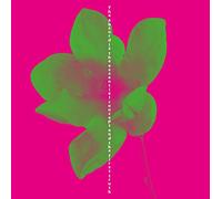 The absurd is the essential concept and the first truth